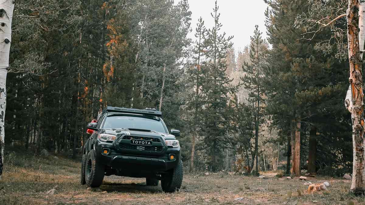 A black Toyota Tacoma 2023 parked in a serene forest with tall pine trees and scattered rocks, showcasing a tranquil outdoor setting.