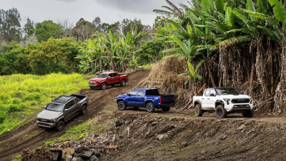 2024 Toyota Tacoma cannot switch on and the dealers cannot find the cause