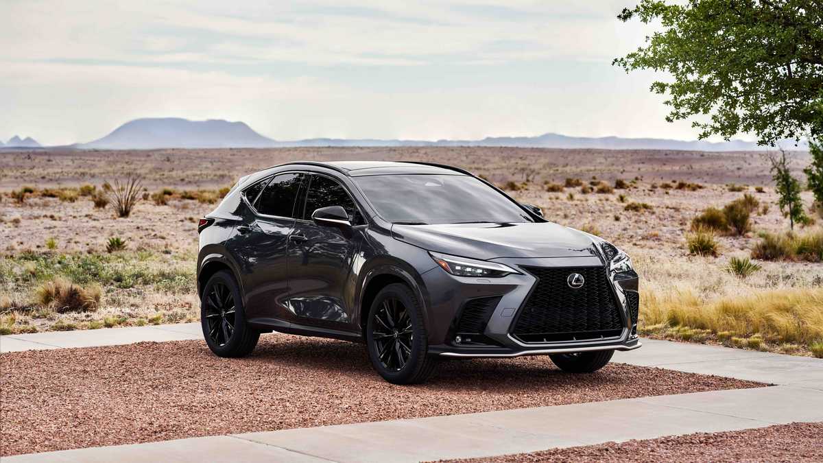 A sleek dark gray Lexus NX SUV parked on gravel with a desert landscape and distant mountains in the background under a cloudy sky.