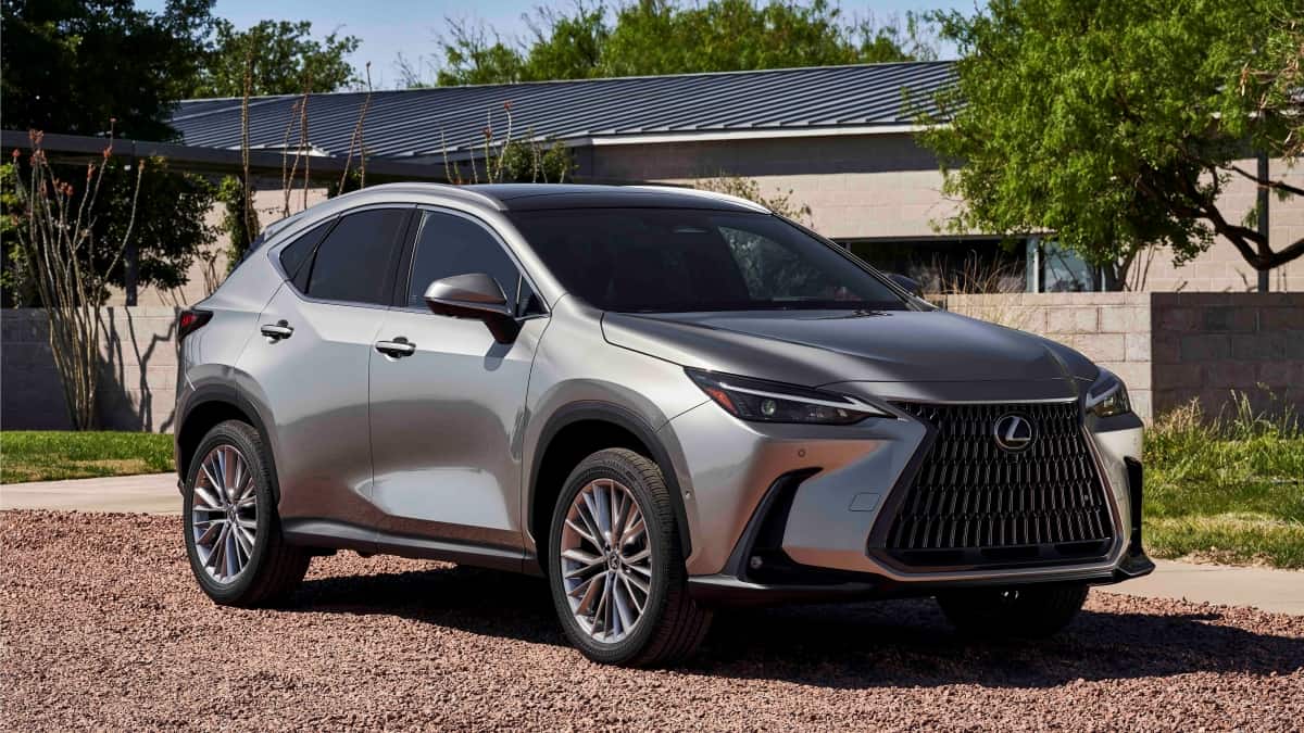 2025 Lexus NX 350h