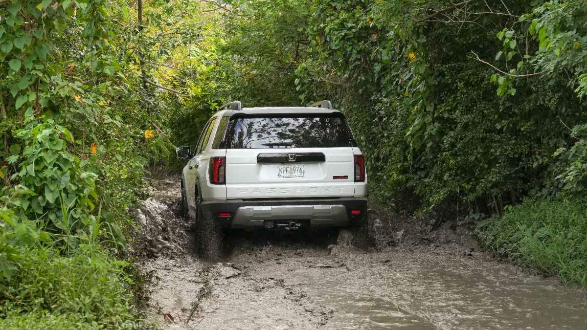 White Honda SUV navigating muddy forest trail, rear view with dense green foliage surrounding narrow path