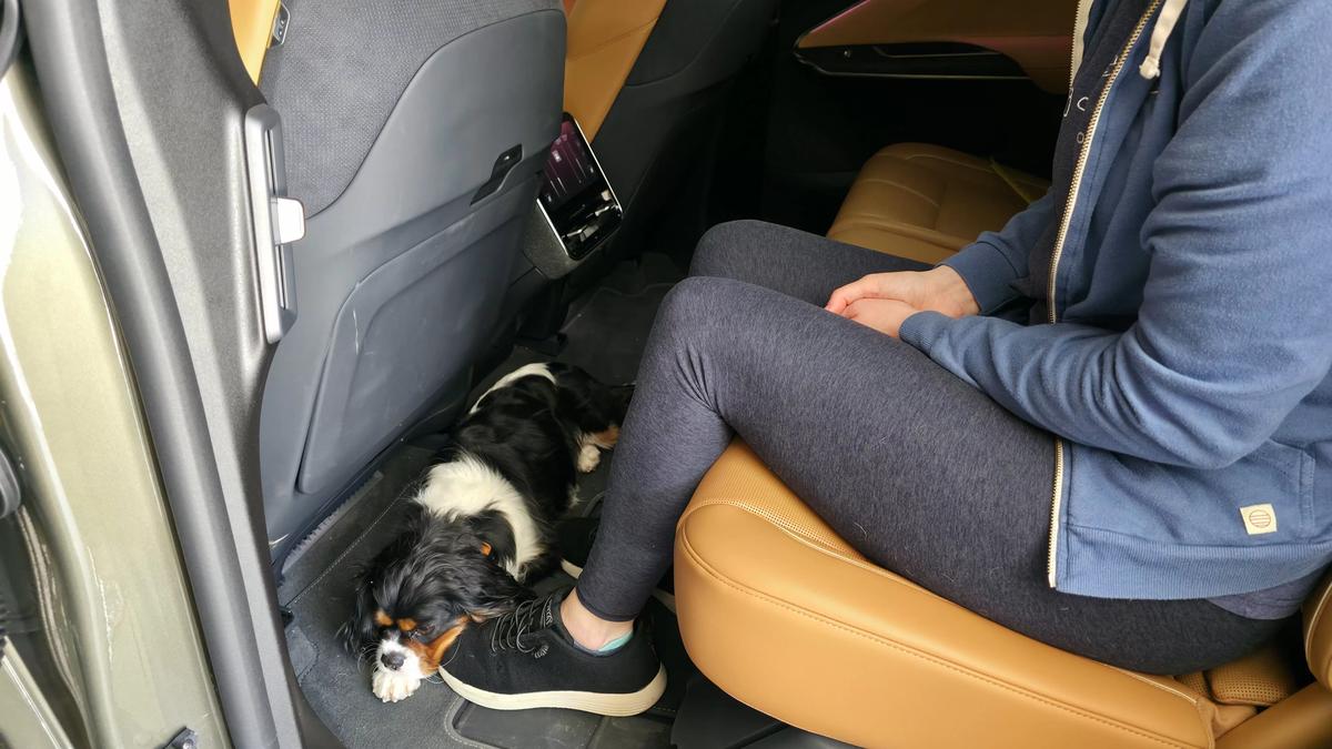 A person sits in a Lucid Gravity with a dog peacefully resting on the floor beside them, showcasing a cozy travel moment.