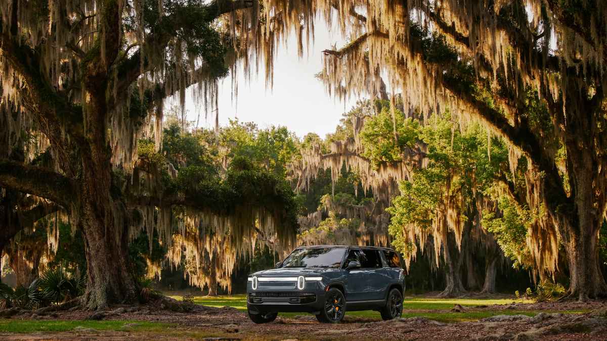 A Rivian R1S, Blue, parked under moss-draped trees, surrounded by lush greenery and soft golden light, creating a serene outdoor scene.