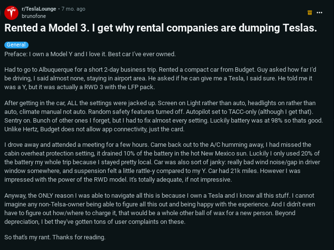 Tesla Model 3 Rental experience on Reddit