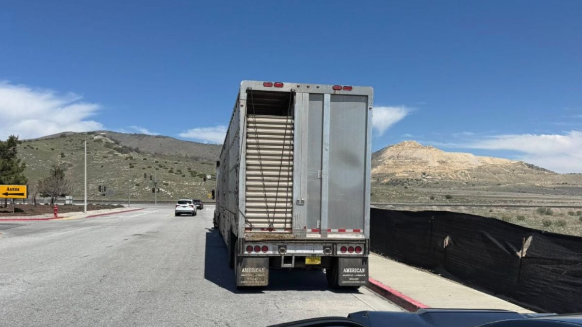 The Semi Truck That Hit James