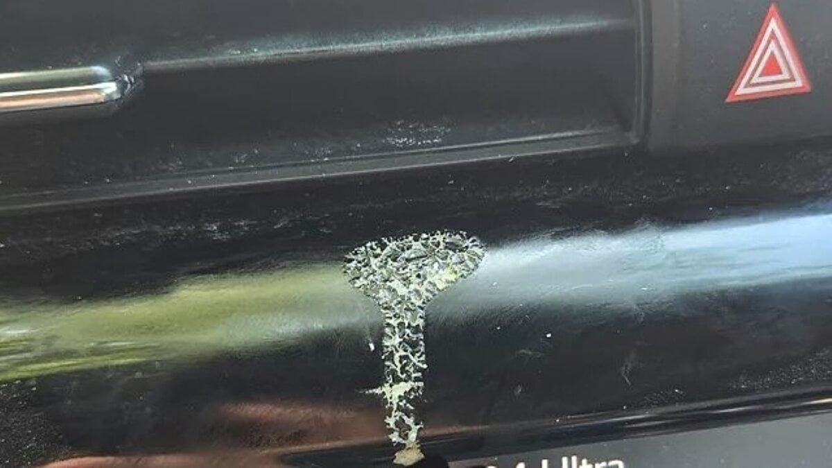 Leaking Scent Compounds Can Mar Plastic Surfaces in Cars