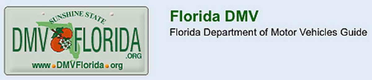 Florida driver's license plate