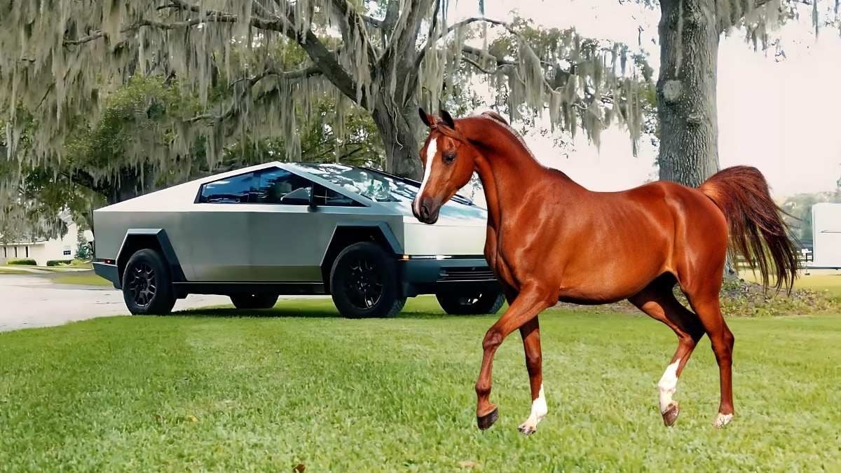 Tesla Cybertruck