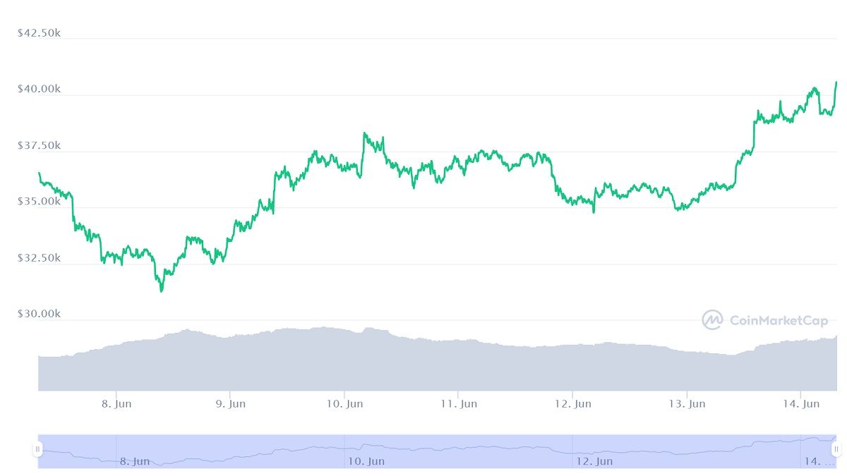 Tesla Bitcoin Diamond Hands