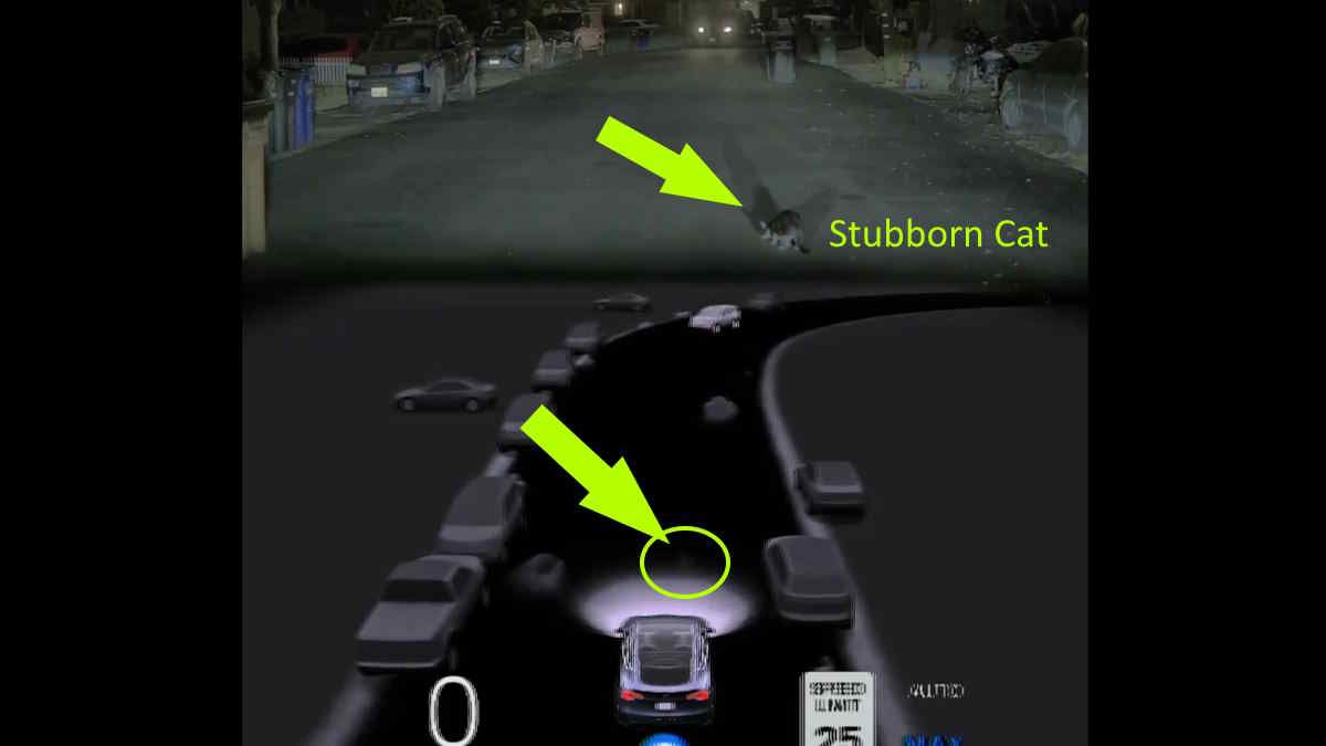 Released Last Night: FSD 12.5 Which Feels Like What Elon Promised 12.4 Would Be - A Step Change Improvement Over 12.4 And Is Shown Handling Stubborn Cat