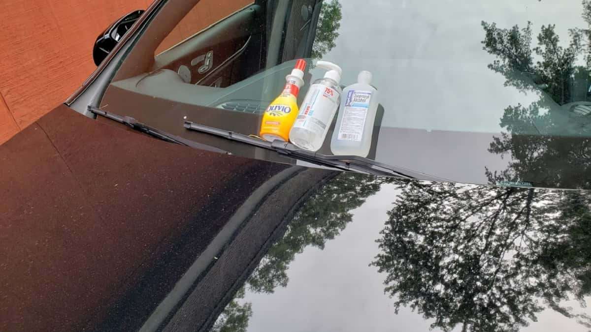 How to Remove Tree Sap from Your Car