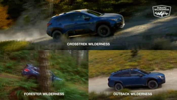 The 3 Subaru Wilderness models