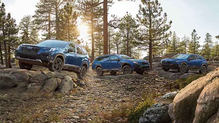 Subaru Says They Can't See The Ceiling Of The New Outdoor Wilderness 