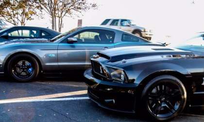 Ford Mustangs