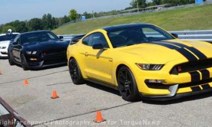 Shelby GT350R Mustangs