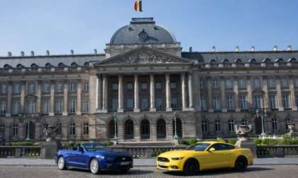 Ford Mustangs in Belgium