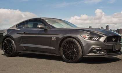 New Zealand Charity Mustang GT