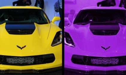 Purpule Chrovette