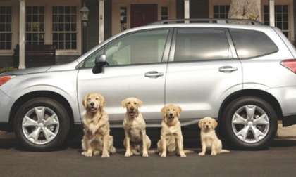 Is 2014 Subaru Forester spot better than Super Bowl winning Budweiser ad?