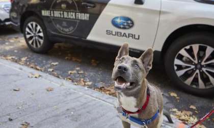 2017 Subaru Outback, 2017 Subaru Forester, Black Friday, ASPCA