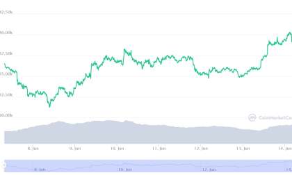 Tesla Bitcoin Diamond Hands