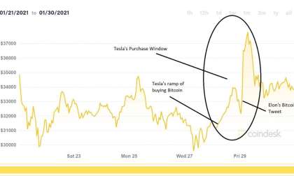 Bitcoin price chart, Elon Musk, January, 2021