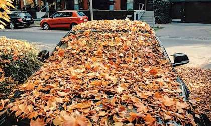 Fall Car Maintenance Recommendation to Avoid Water Damage