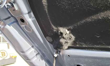 Image of mouse damage under a car hood by John Goreham