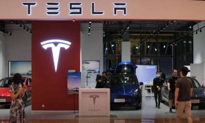 Tesla Growth Dominating Europe