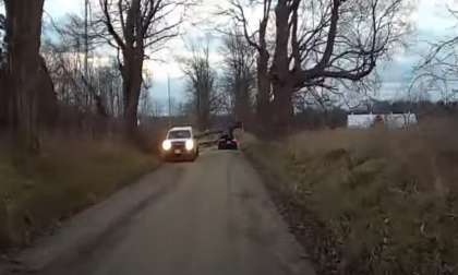 Tree Falls on Tesla and Owners Survived