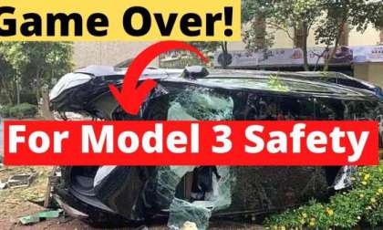 Tesla Model 3 Knocks Down a Tree! Everyone Walk Away Unharmed